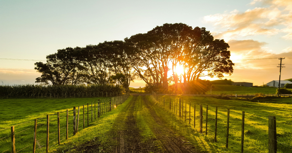 Best States for Homesteading