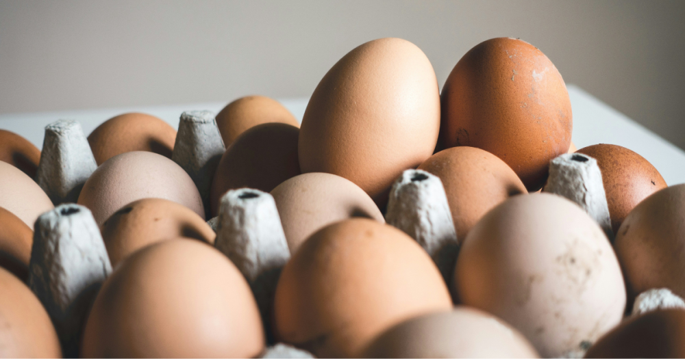 are eggs dairy