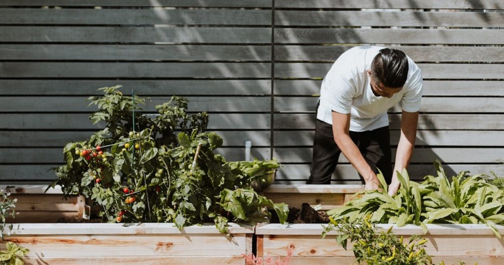 What Is a Homesteader? Here’s What the Numbers Say